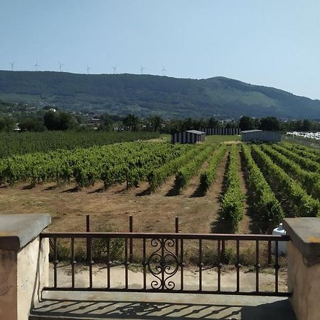 Agriturismo Il Casale Del Cavaliere SantʼAgata deʼ Goti 外观 照片