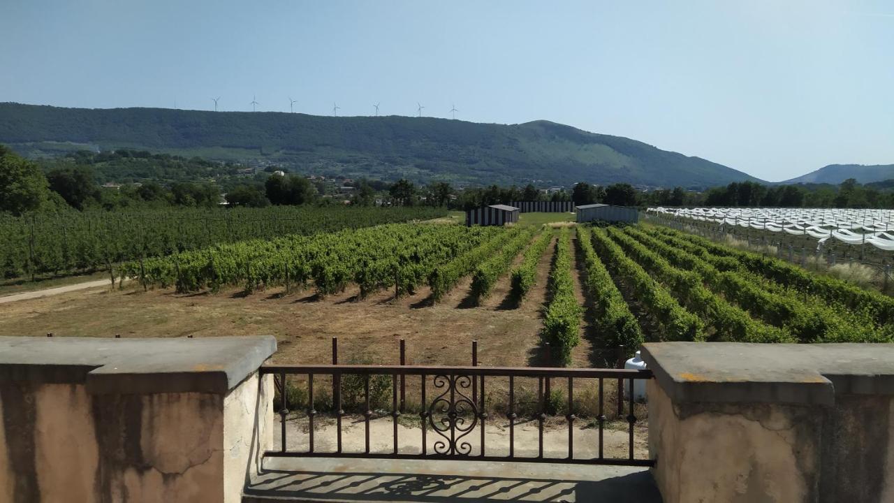 Agriturismo Il Casale Del Cavaliere SantʼAgata deʼ Goti 外观 照片