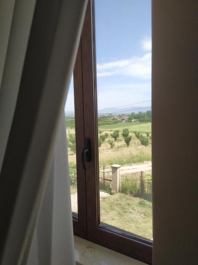 Agriturismo Il Casale Del Cavaliere SantʼAgata deʼ Goti 外观 照片