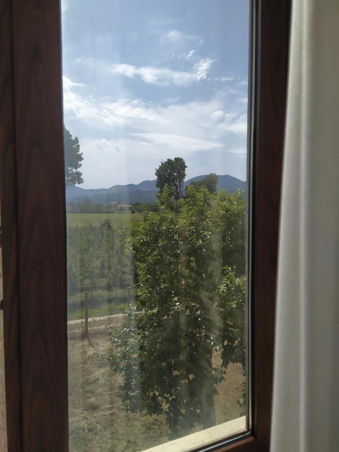 Agriturismo Il Casale Del Cavaliere SantʼAgata deʼ Goti 外观 照片
